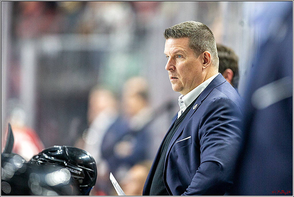 DEL; Koelner Haie - Straubing Tigers; Koeln, 17.11.2019